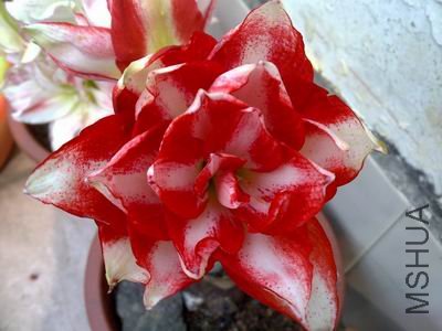 ������С 201204031906.jpg