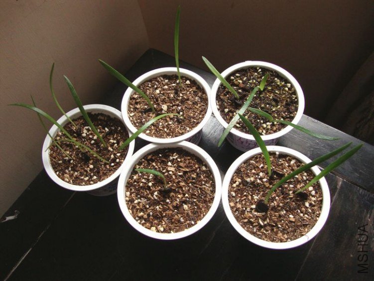 ��2012��5��27�� 21�������ѳ���15�� �����ʳ���70%.jpg