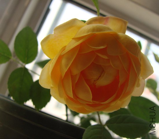 DSC01751.JPG