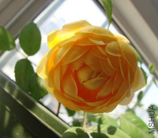 DSC01806.JPG