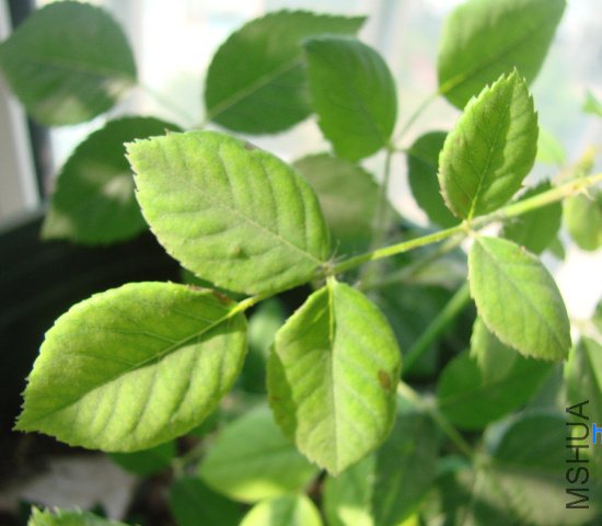 DSC01756.JPG