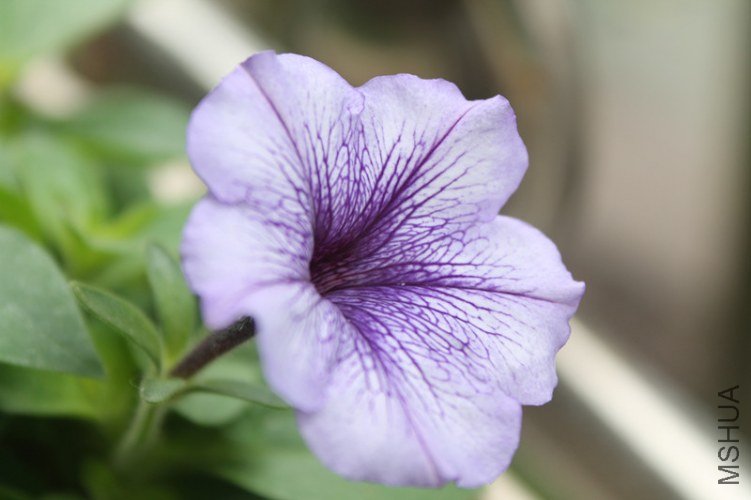 201022qxx66o56vajqovm3.jpg