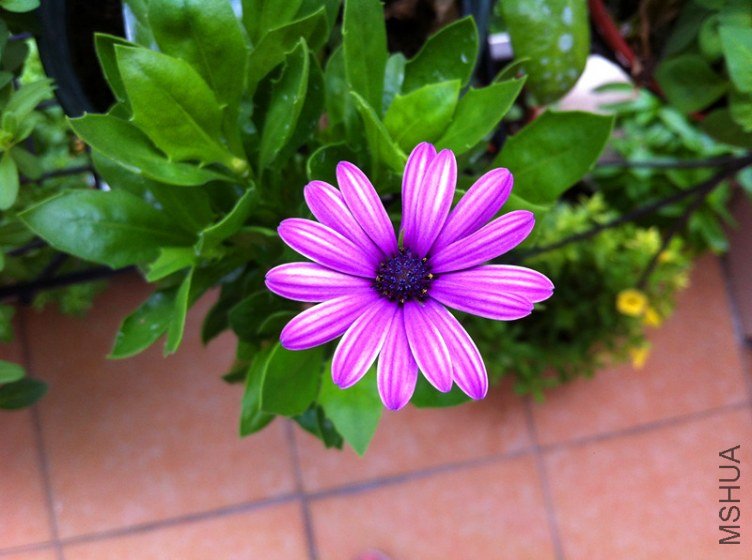 ��Ƭ 034_����.jpg