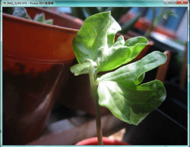 QQ��ͼ20120528135914.jpg