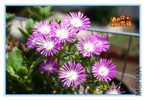 ��Ƭ 084_��¶.jpg