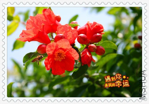 ��Ƭ 025_��ʯ2.jpg