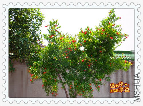 ��Ƭ 022_����ʯ1.jpg