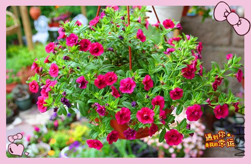 ��Ƭ 078_����.jpg