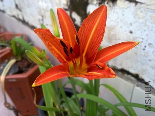 ������С 201204222011.jpg