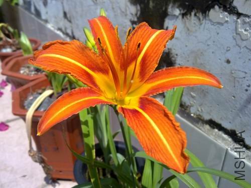 ������С 201204222024.jpg