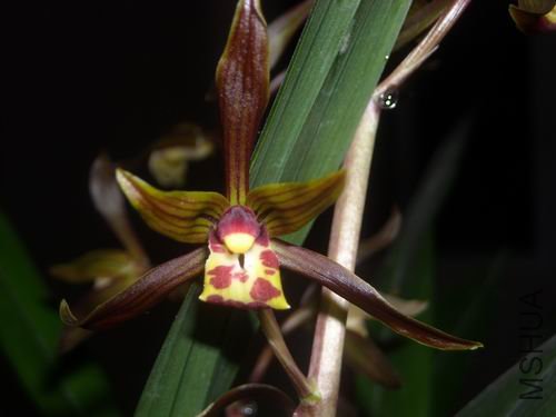 �����ĵؿ�