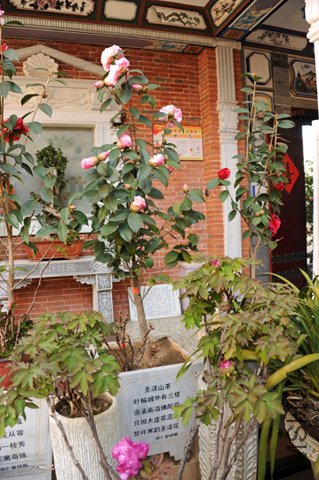 DSC_8278-SS_edited-1.jpg
