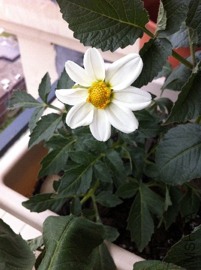 D108�ɰ�����.jpg