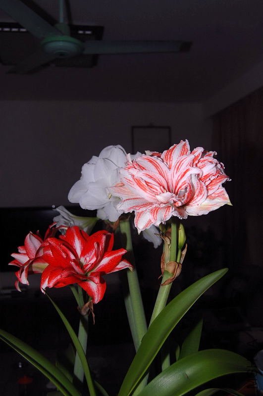 DSC_00230023.JPG