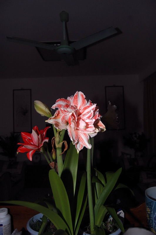DSC_00070007.JPG