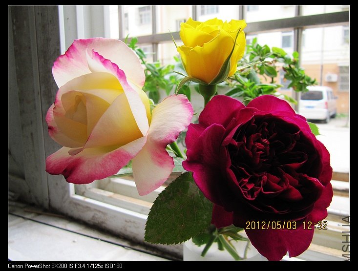 IMG_2450.jpg