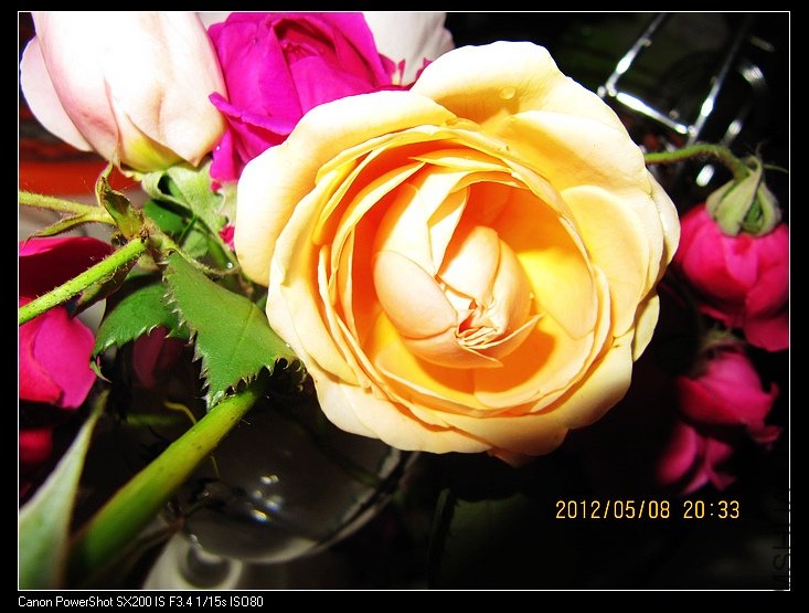 IMG_2485.jpg