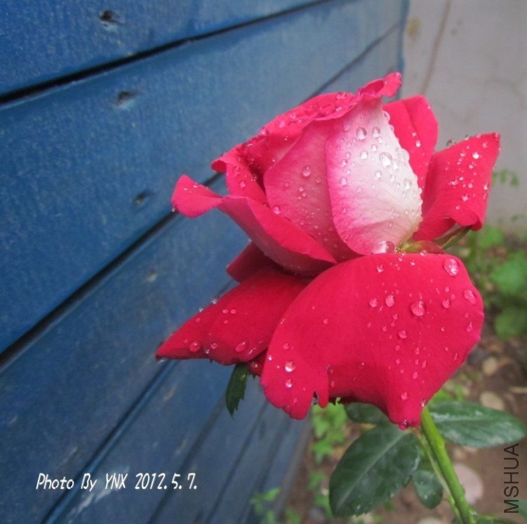 2012.5.7. 025_conew3.jpg