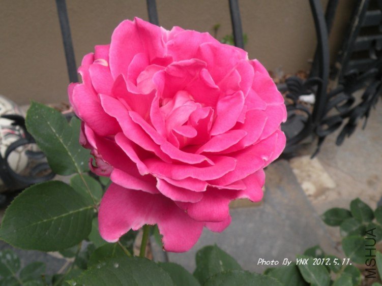 2012.5.11. 013_conew2.jpg