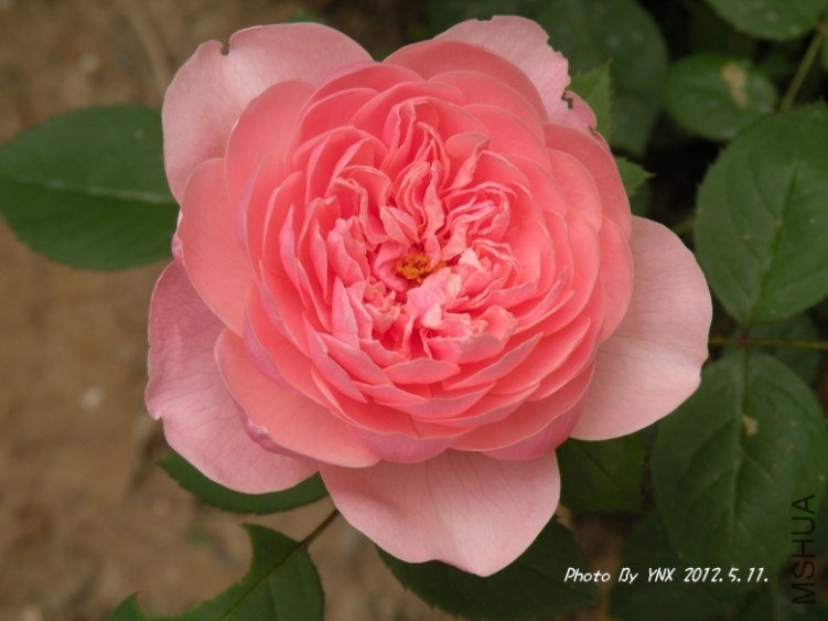 2012.5.11. 015_conew2.jpg