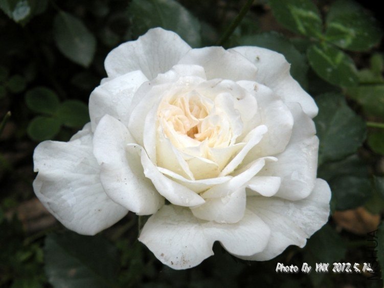 2012.5.14. 069_conew2.jpg