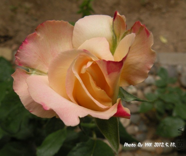 2012.5.11. 029_conew2.jpg