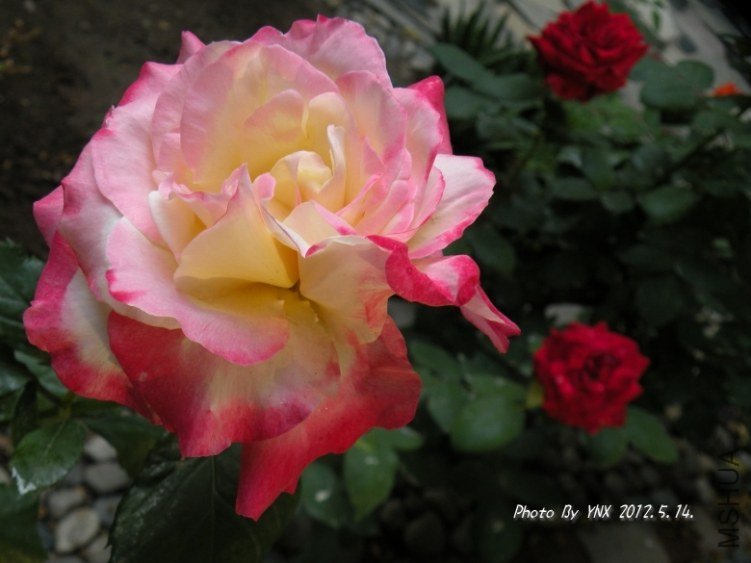 2012.5.14. 096_conew2.jpg