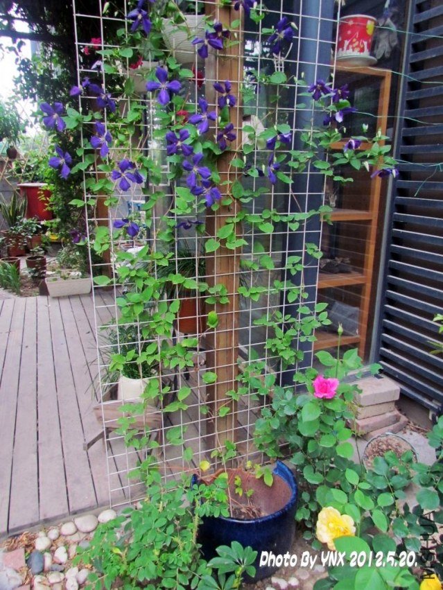 2012.5.20. 053_conew2.jpg