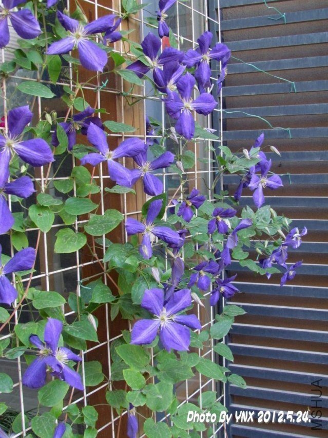 2012.5.24. 080_conew3.jpg