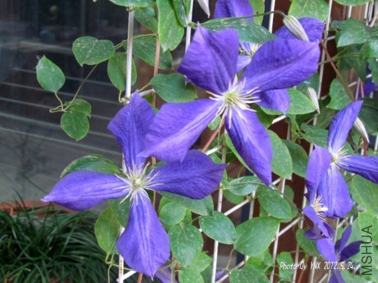 2012.5.24. 107_conew2.jpg