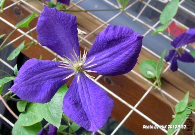 2012.5.20. 050_conew2.jpg