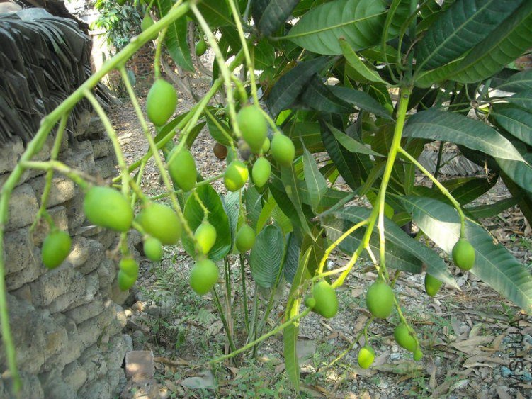 ��Ƭ 011.jpg