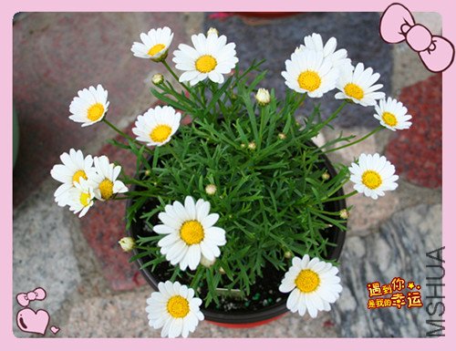 ��Ƭ 033_��������1.jpg