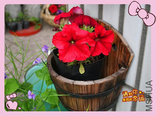 ��Ƭ 033_������ţ.jpg