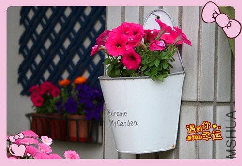 ��Ƭ 035_������ţ.jpg