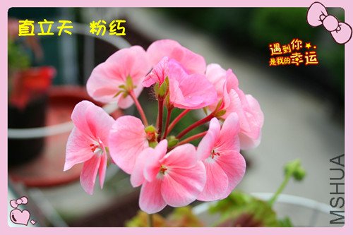 ��Ƭ 070_������2_����.jpg