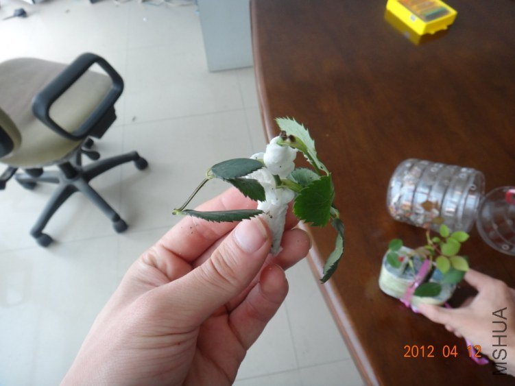 9-DSC01308.JPG