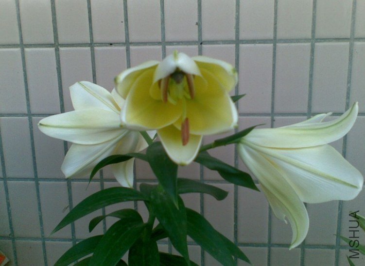 20120528.jpg