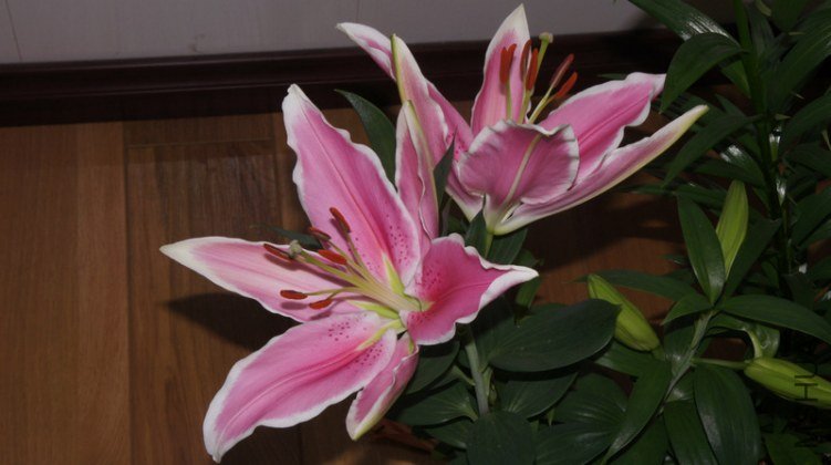 DSC01961.jpg