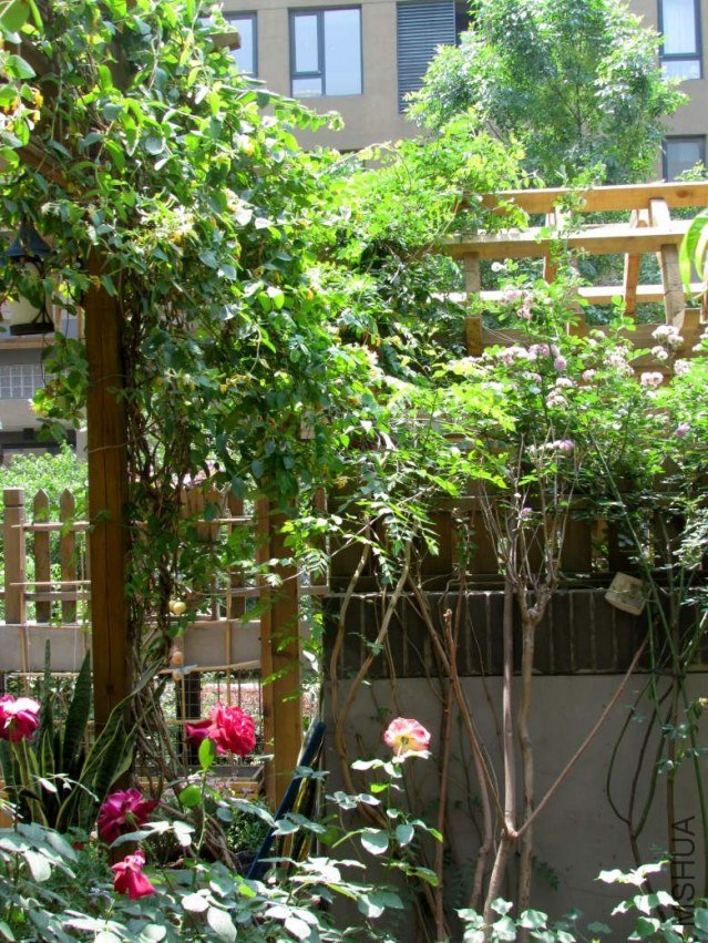 2011.5.28. 044_conew1.jpg