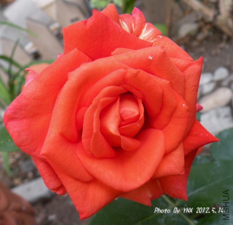 2012.5.14. 100_conew2.jpg