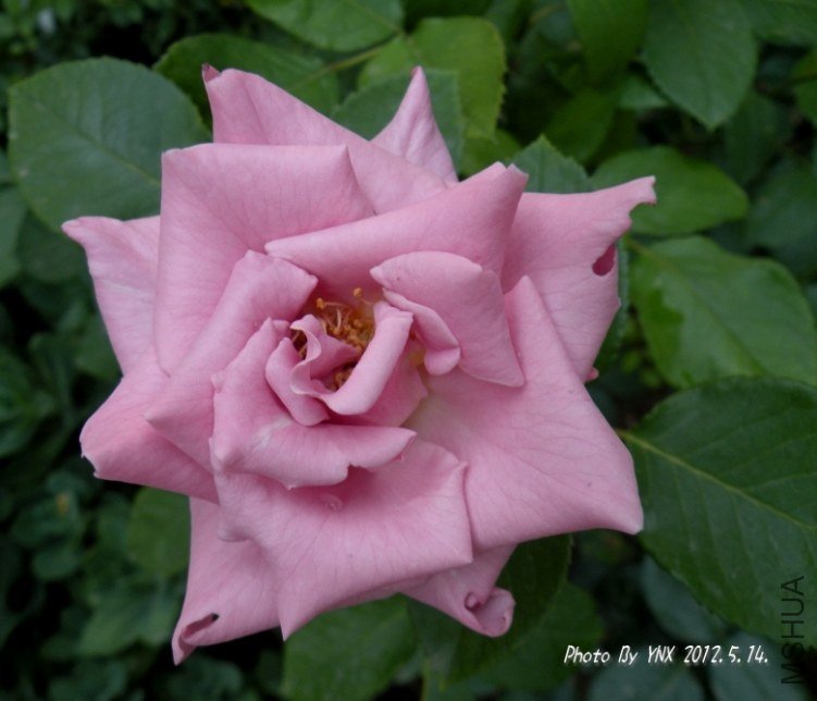 2012.5.14. 107_conew2.jpg