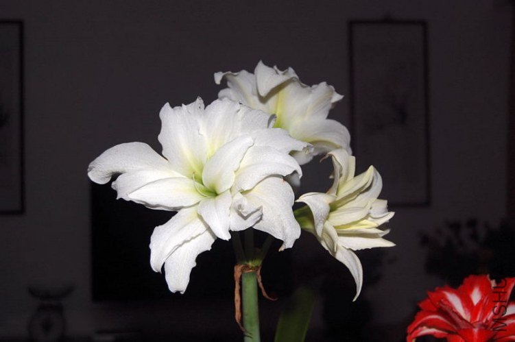 DSC_00270027.JPG