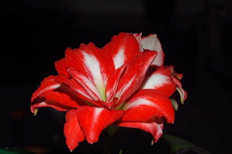 DSC_00210021.JPG