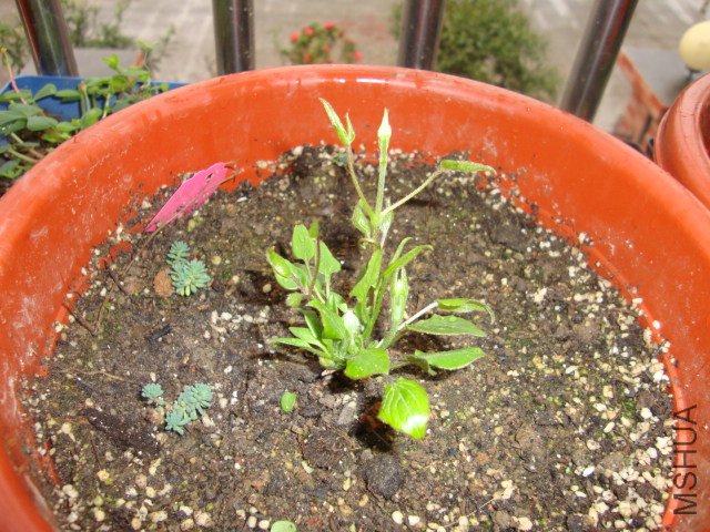 DSC01895.JPG