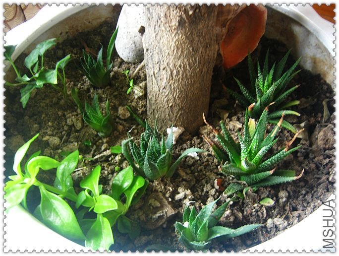 ��������һ�����̣��Ҹ�����