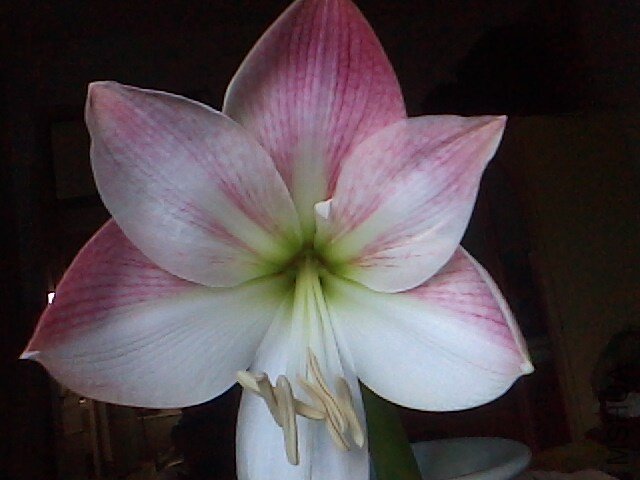 IMG0526150200.jpg