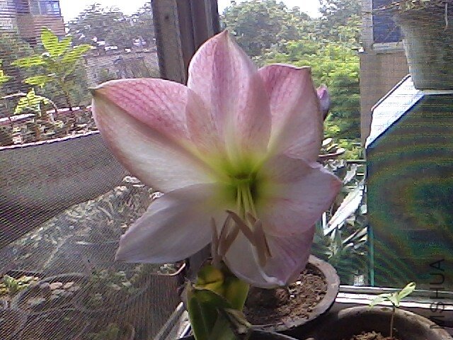 IMG0525135800.jpg