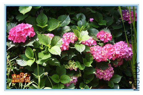 ��Ƭ 006_����2.jpg