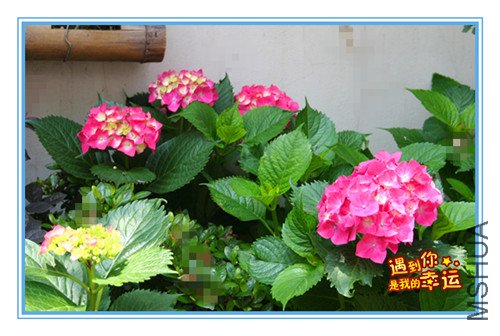 ��Ƭ 007_����3.jpg